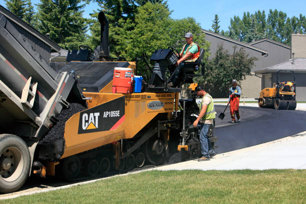 Best Eco-Friendly Driveway Paving in Forest Hills, PA